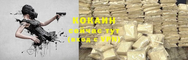 эйфоретик Гусев