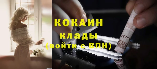 эйфоретик Гусев