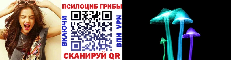 Галлюциногенные грибы Cubensis  Купить закладки  Шацк 